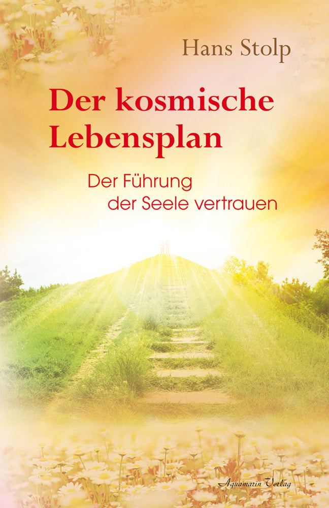 Der kosmische Lebensplan (Hans Stolp)