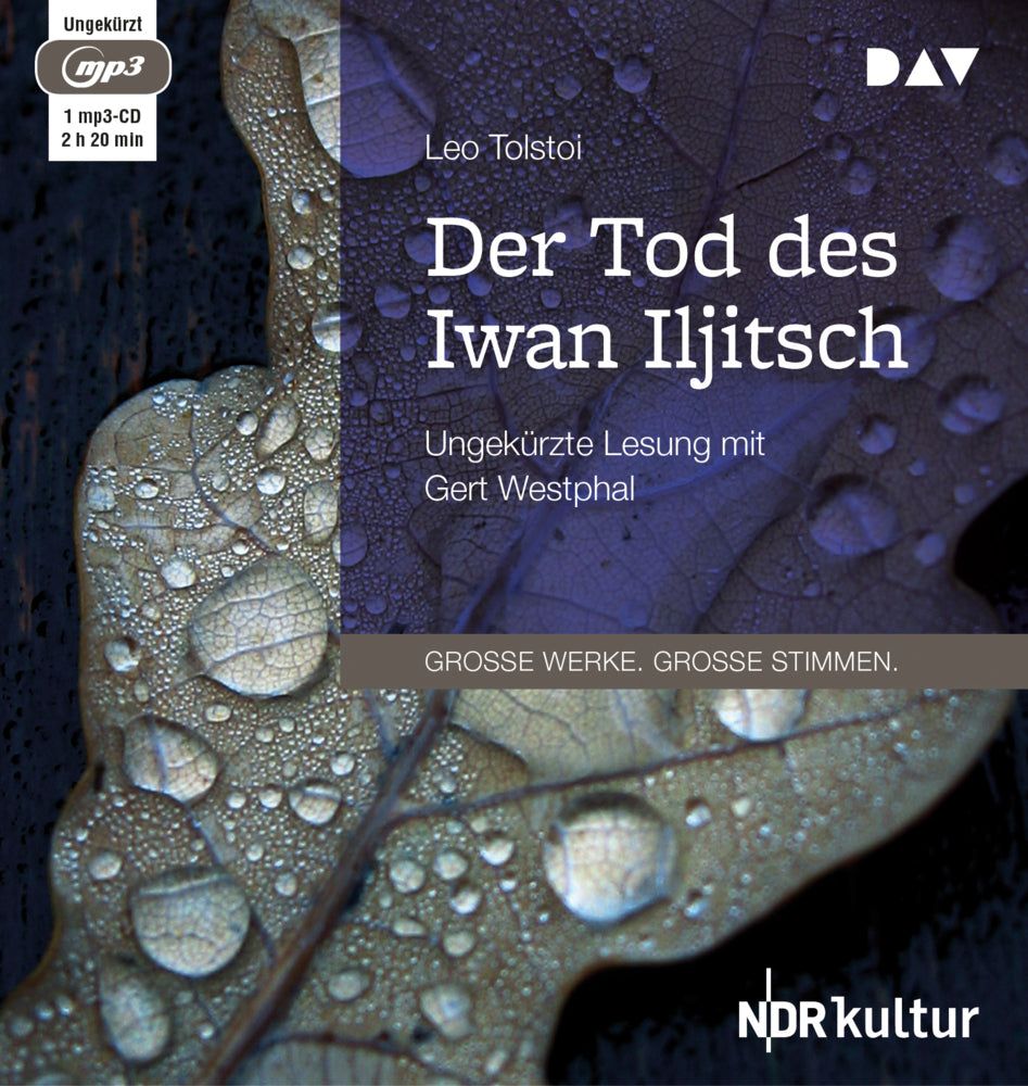 Der Tod des Iwan Iljitsch, 1 Audio-CD, 1 MP3 (Leo N. Tolstoi)