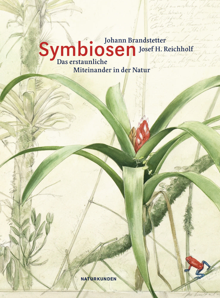 Symbiosen (Johann Brandstetter)