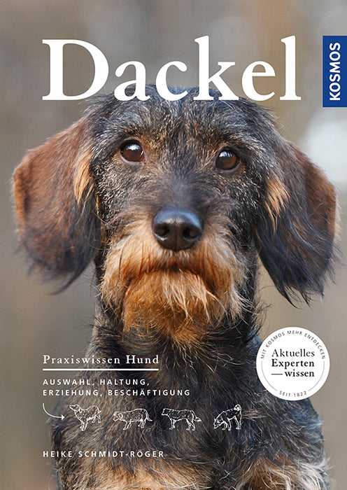 Dackel (Heike Schmidt-Röger)
