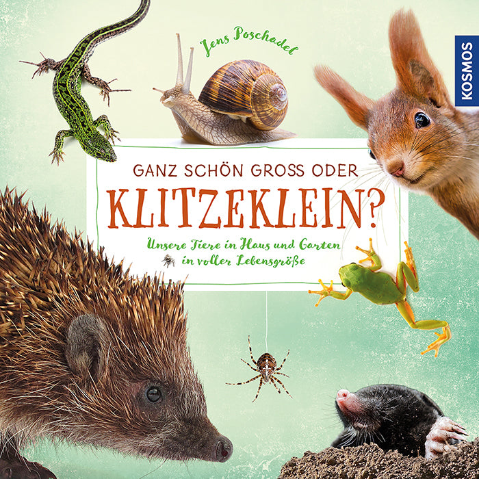 Ganz schön groß oder klitzeklein? (Jens Poschadel)