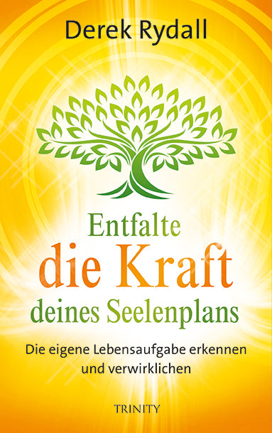 Entfalte die Kraft deines Seelenplans (Derek Rydall)