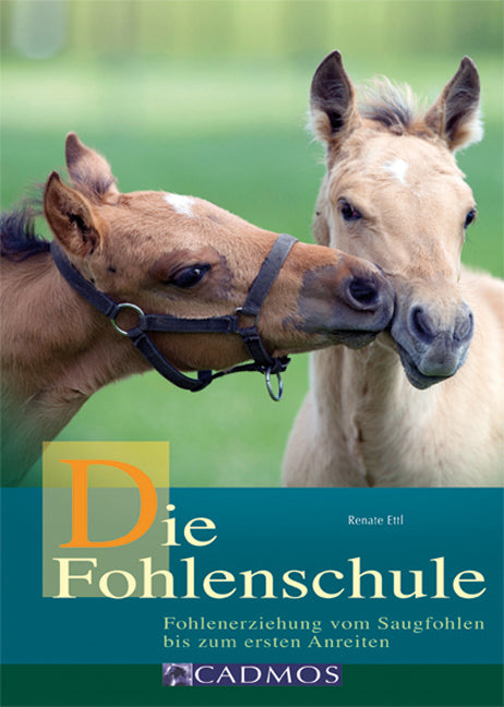 Die Fohlenschule (Renate Ettl)