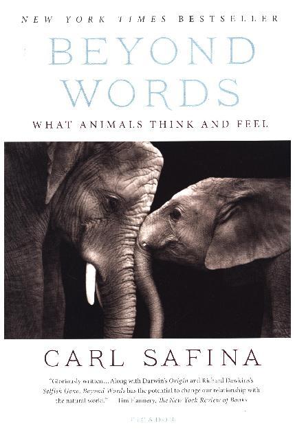 Beyond Words (Carl Safina)