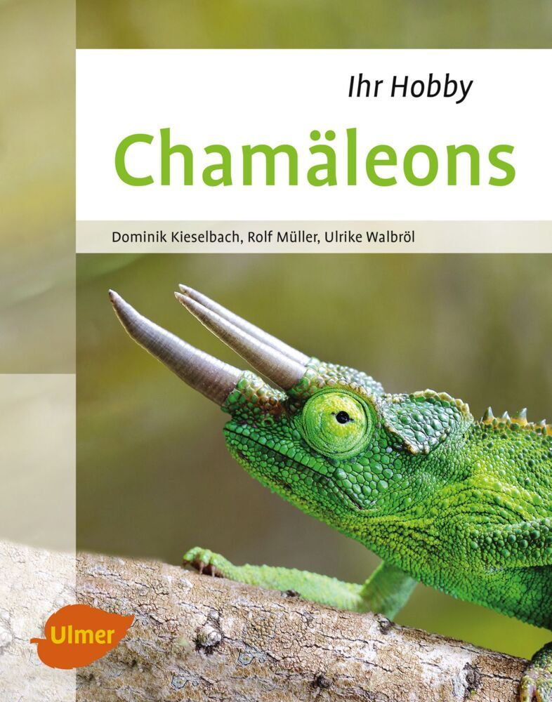 Chamäleons (Dominik Kieselbach)