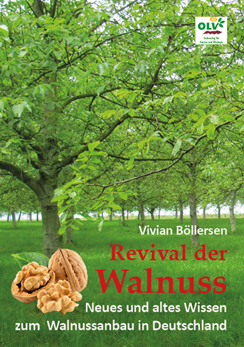 Revival der Walnuss (Vivian Böllersen)