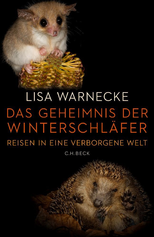 Das Geheimnis der Winterschläfer (Lisa Warnecke)