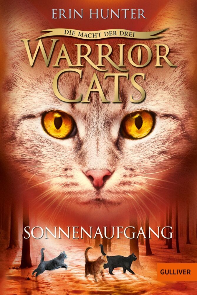 Warrior Cats - Die Macht der drei. Sonnenaufgang (Erin Hunter)