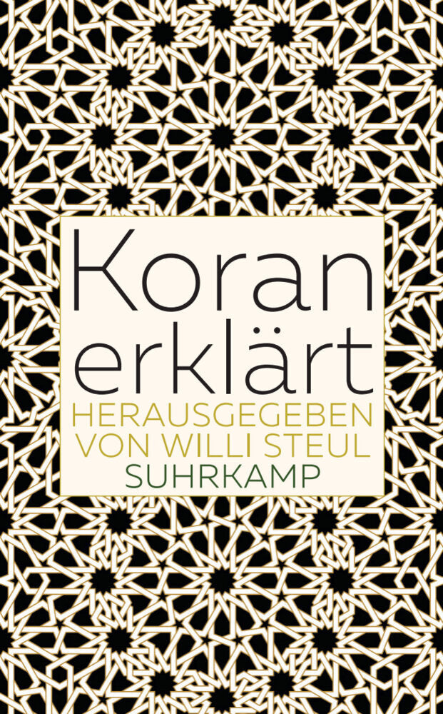 Koran erklärt (Willi Steul)