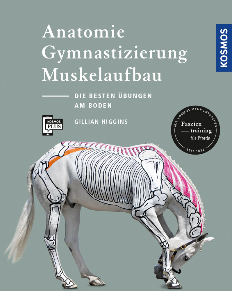 Anatomie, Gymnastizierung, Muskelaufbau (Gillian Higgins)