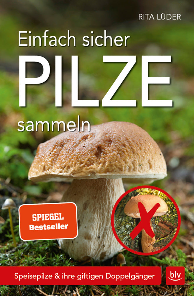 Einfach sicher Pilze sammeln (Rita Lüder)