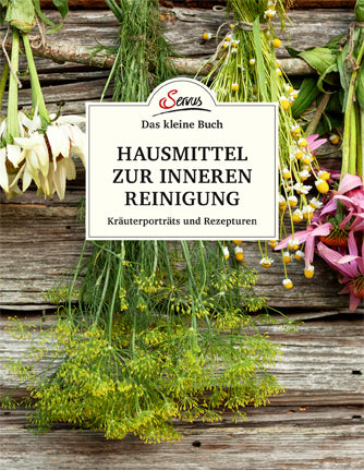 Hausmittel zur inneren Reinigung (Nina Kienreich)
