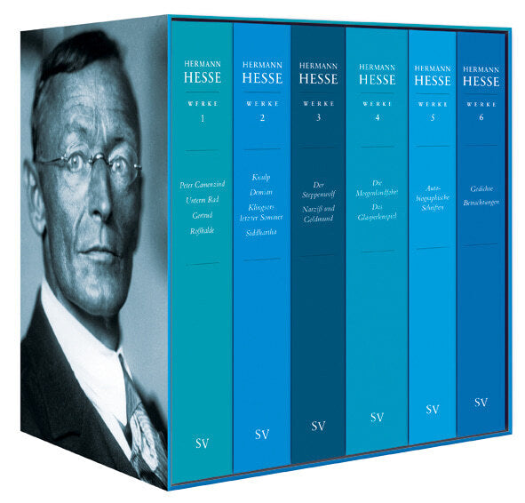 Ausgewählte Werke, 6 Teile (Hermann Hesse)