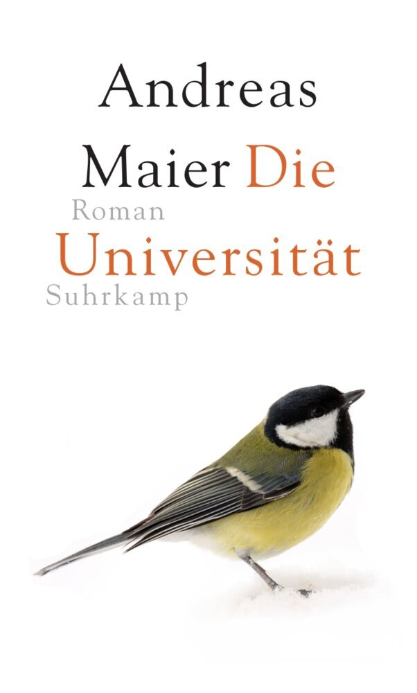 Die Universität (Andreas Maier)