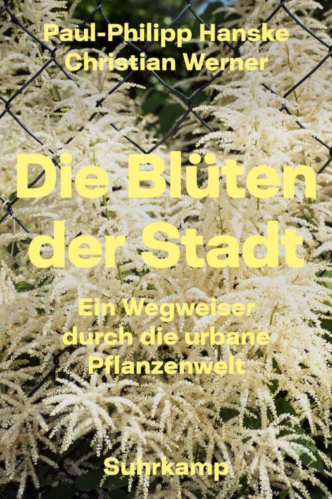 Die Blüten der Stadt (Paul-Philipp Hanske)