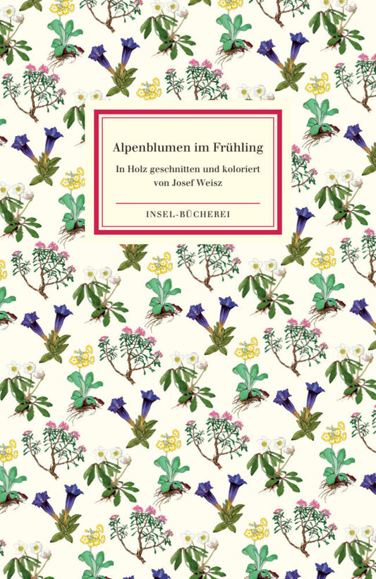 Alpenblumen im Frühling