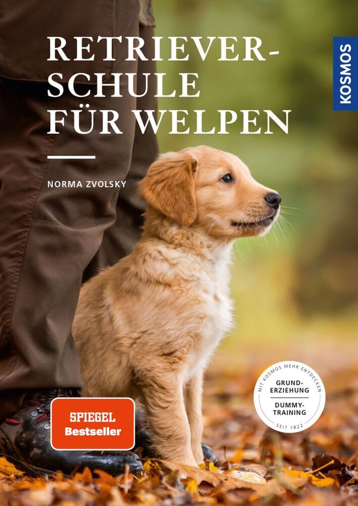 Retrieverschule für Welpen (Norma Zvolsky)
