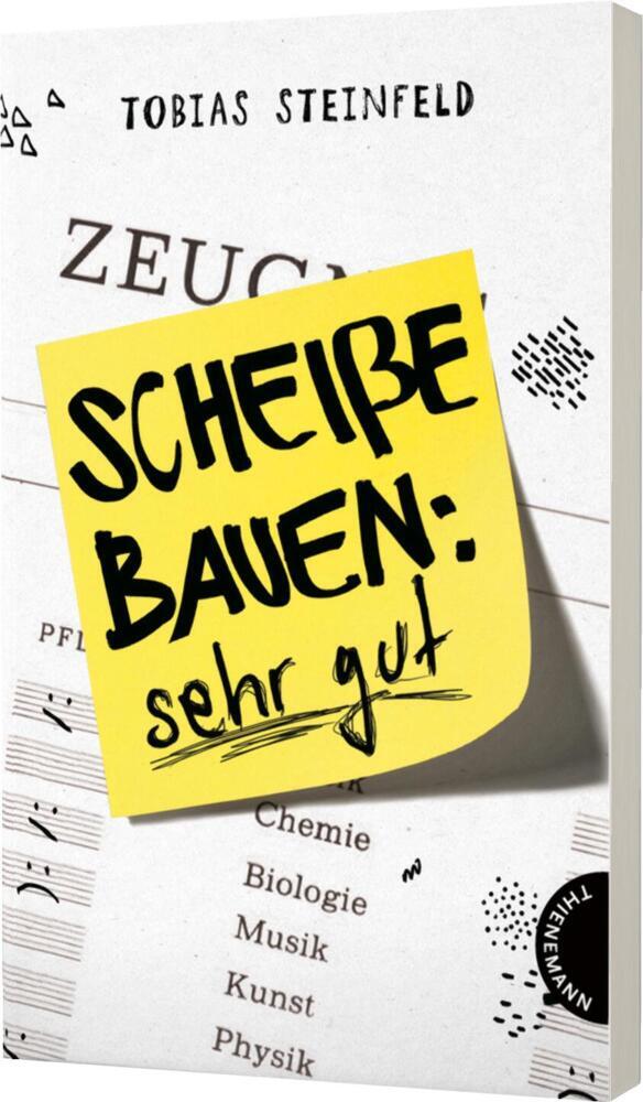 Scheiße bauen: sehr gut (Tobias Steinfeld)