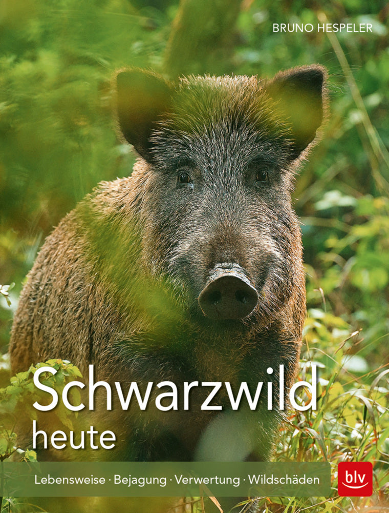 Schwarzwild heute (Bruno Hespeler)