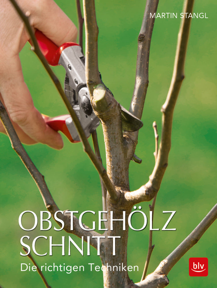Obstgehölzschnitt (Martin Stangl)