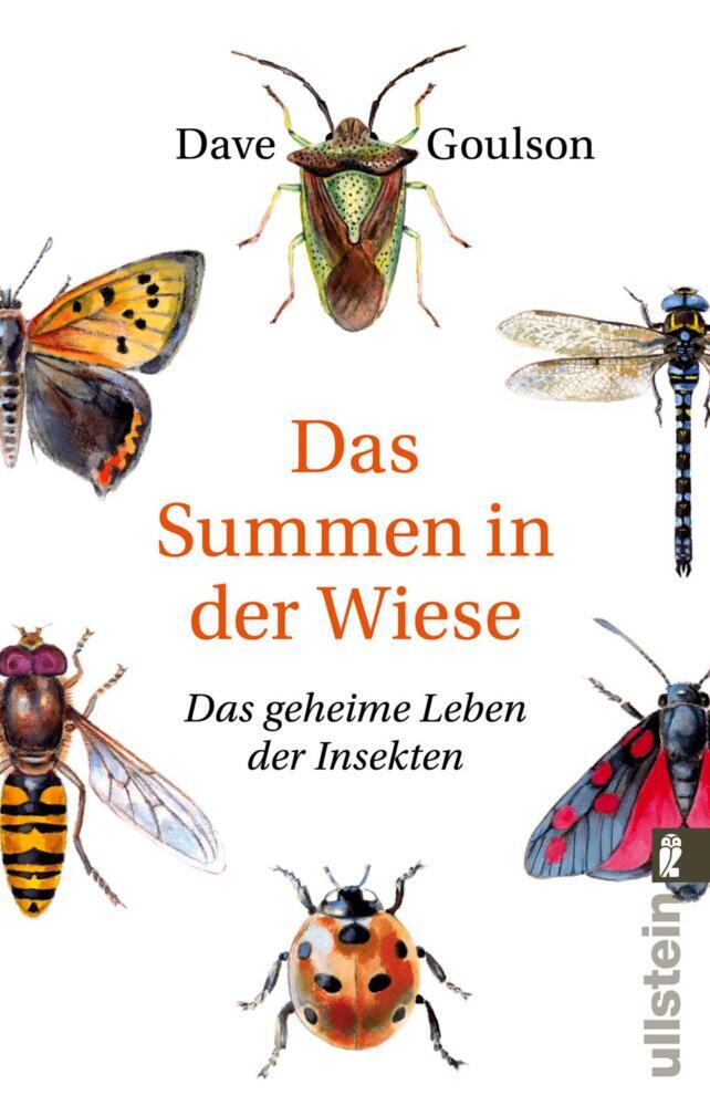 Das Summen in der Wiese (Dave Goulson)