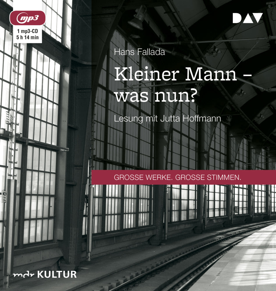 Kleiner Mann - was nun?, 1 Audio-CD, 1 MP3 (Hans Fallada)