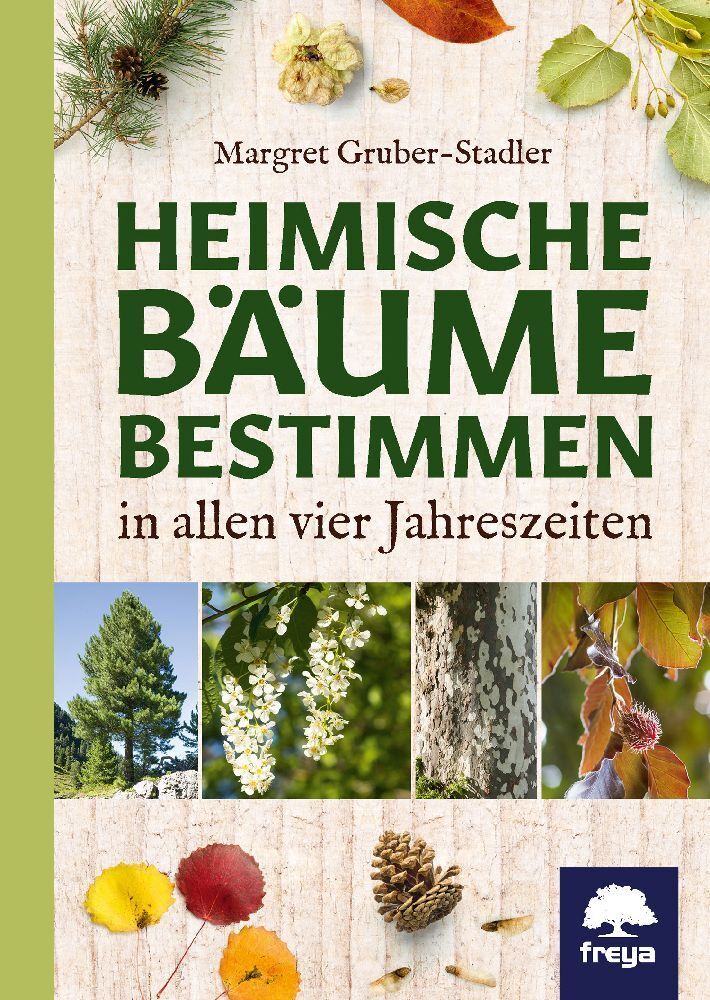 Heimische Bäume bestimmen (Margret Gruber-Stadler)