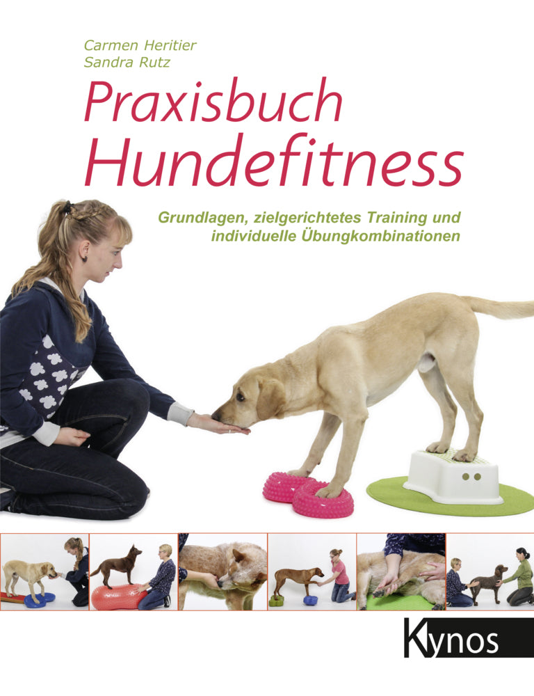 Praxisbuch Hundefitness (Carmen Heritier)