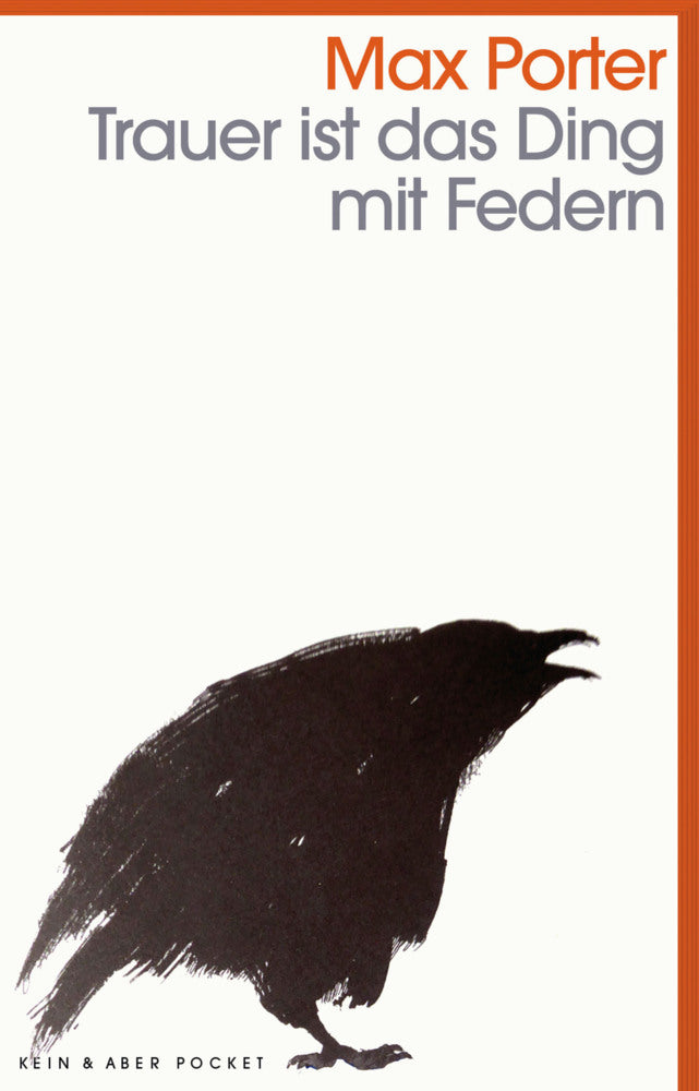Trauer ist das Ding mit Federn (Max Porter)