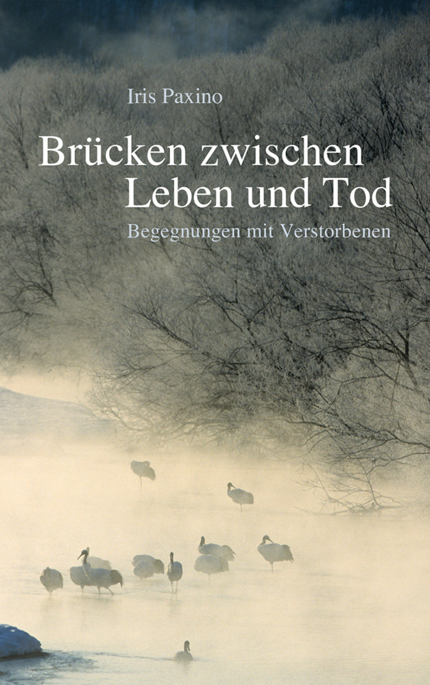 Brücken zwischen Leben und Tod (Iris Paxino)
