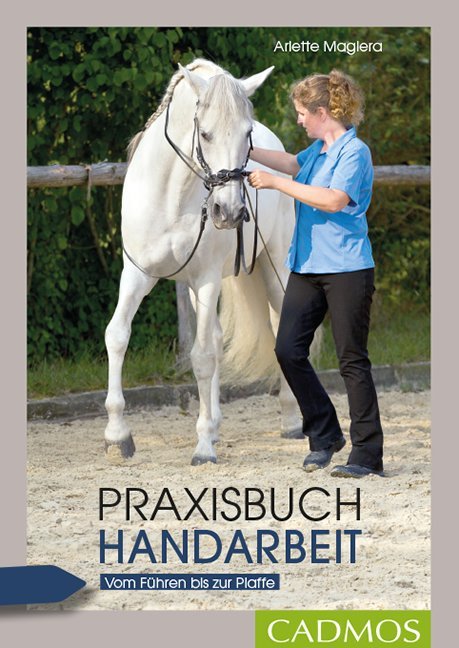 Praxisbuch Handarbeit (Arlette Magiera)