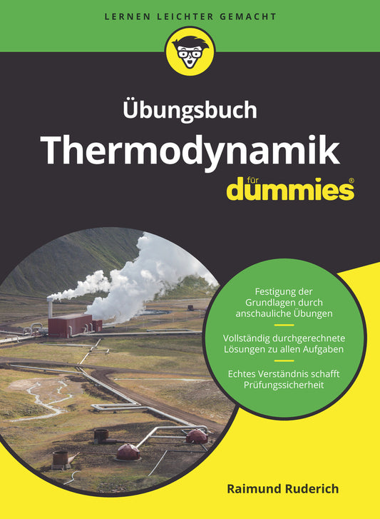 Übungsbuch Thermodynamik für Dummies (Raimund Ruderich)