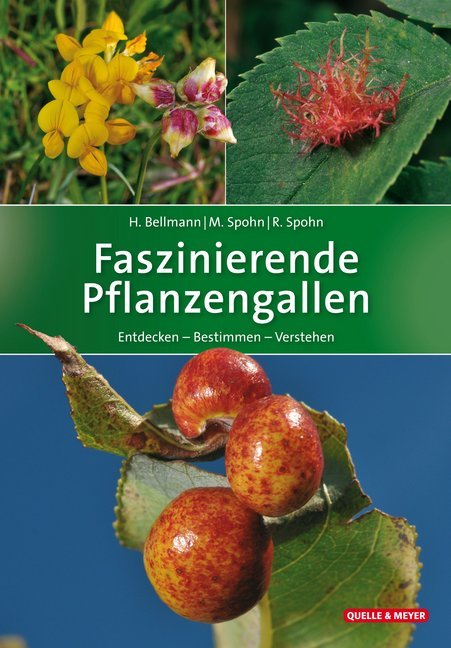 Faszinierende Pflanzengallen (Heiko Bellmann)