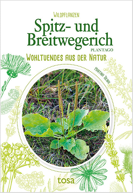 Spitz- und Breitwegerich - Plantago (Martina Tolnai)