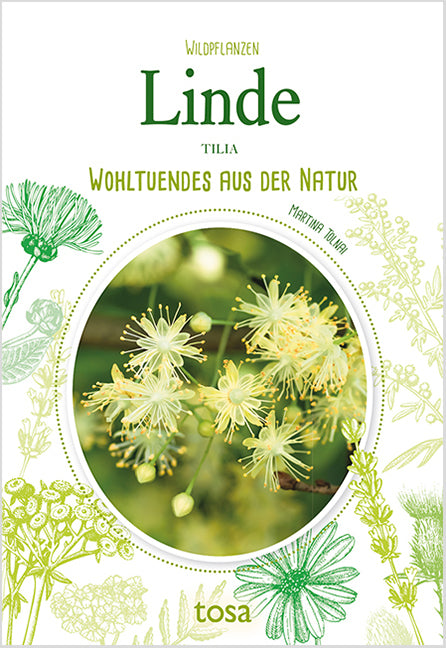 Linde - Tilia (Martina Tolnai)
