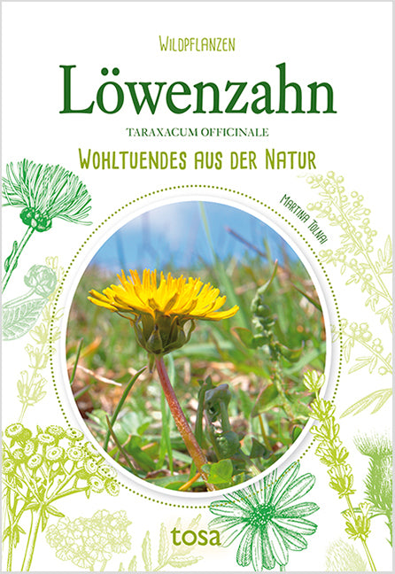 Löwenzahn - Taraxacum Officinale (Martina Tolnai)