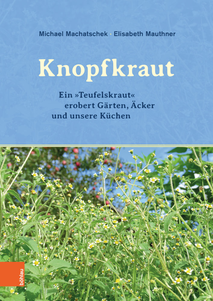 Das Knopfkraut (Michael Machatschek)