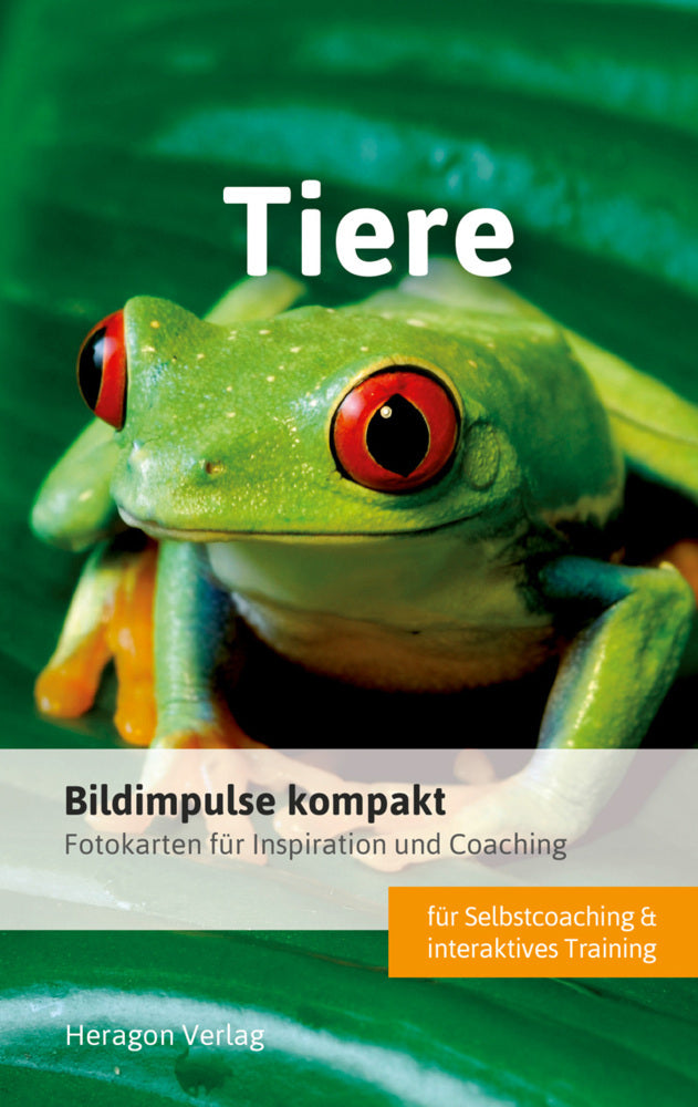 Bildimpulse kompakt: Tiere (Bodo Pack)