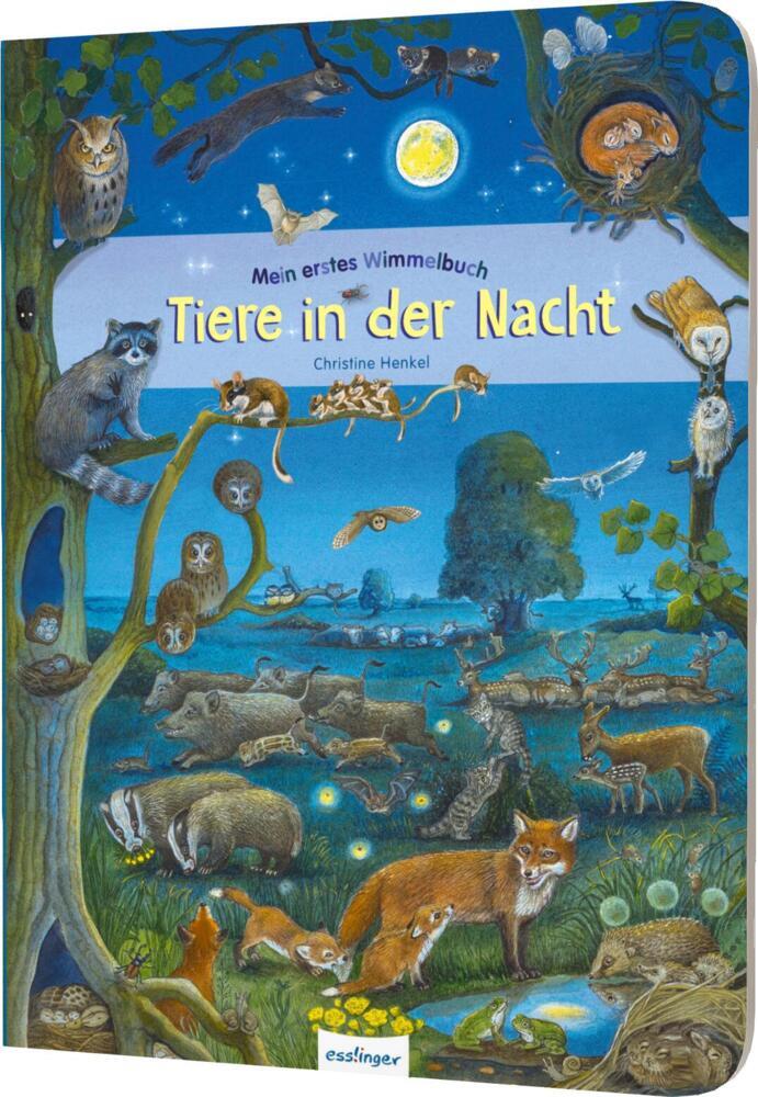 Mein erstes Wimmelbuch: Tiere in der Nacht (Christine Henkel)