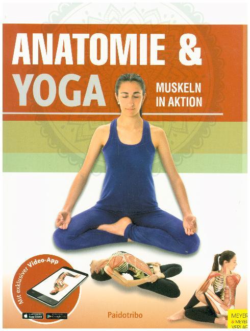 Anatomie & Yoga, m. 1 Buch, m. 1 Beilage (Paidotribo)