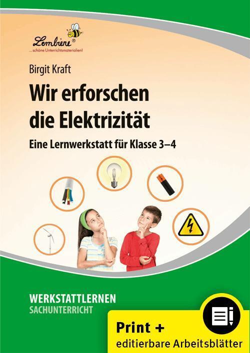 Wir erforschen die Elektrizität (Birgit Kraft)