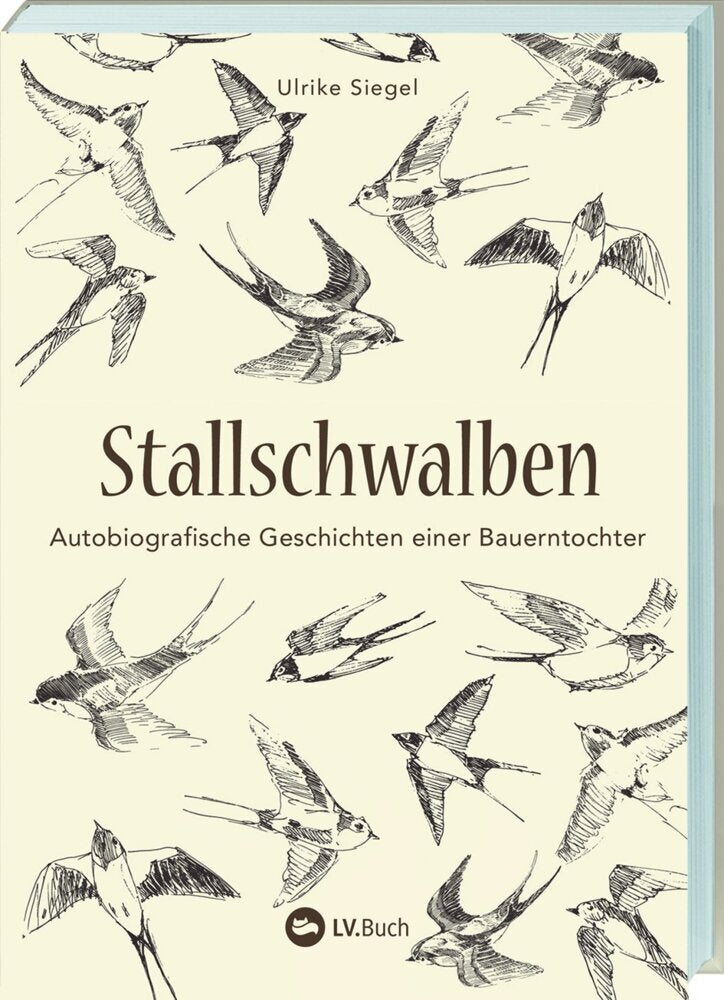 Stallschwalben (Ulrike Siegel)