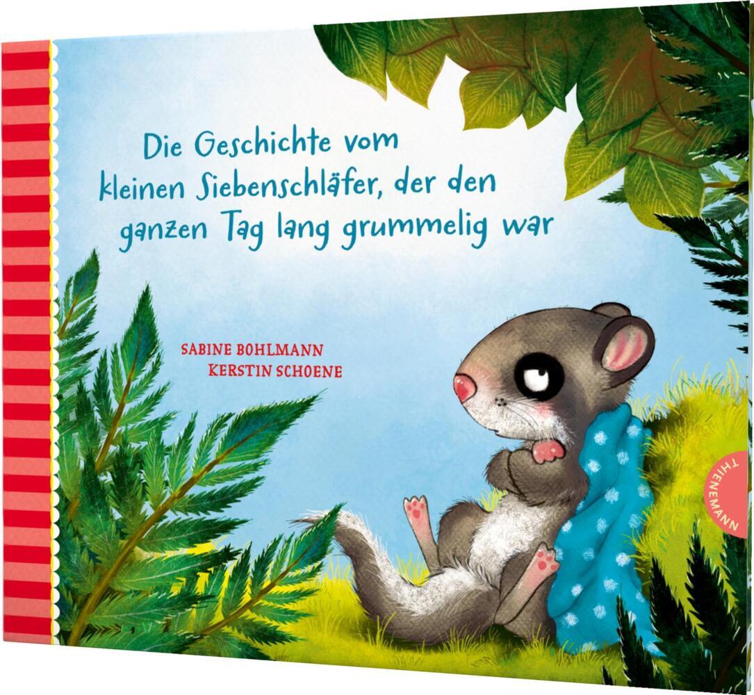Der kleine Siebenschläfer 4: Die Geschichte vom kleinen Siebenschläfer, der den ganzen Tag lang grummelig war (Sabine Bohlmann)