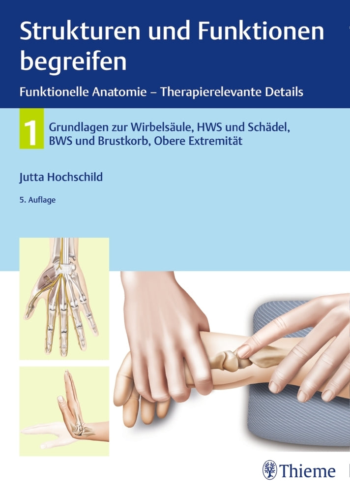 Strukturen und Funktionen begreifen, Funktionelle Anatomie - Therapierelevante Details.Bd.1 (Jutta Hochschild)