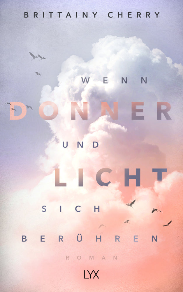 Wenn Donner und Licht sich berühren (Brittainy Cherry)