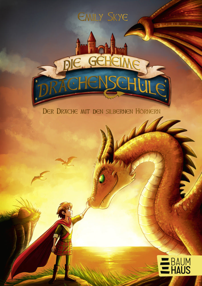 Die geheime Drachenschule - Der Drache mit den silbernen Hörnern (Emily Skye)