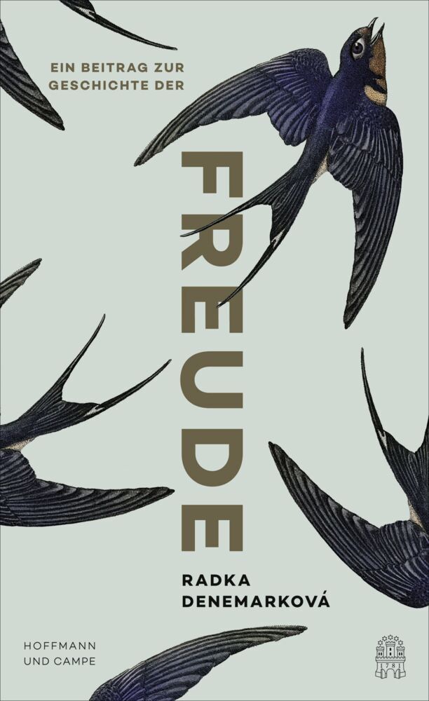 Ein Beitrag zur Geschichte der Freude (Radka Denemarková)