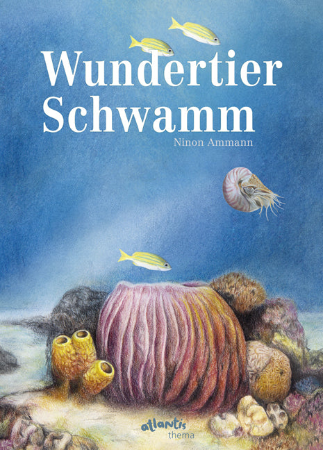 Wundertier Schwamm (Ninon Ammann)