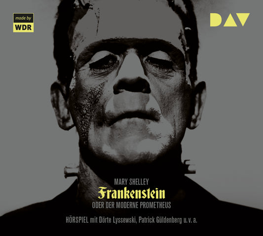 Frankenstein oder Der moderne Prometheus, 2 Audio-CDs (Mary Shelley)