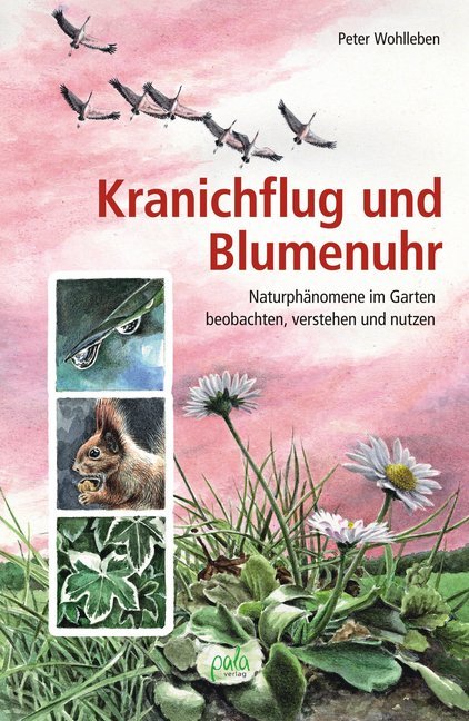 Kranichflug und Blumenuhr (Peter Wohlleben)